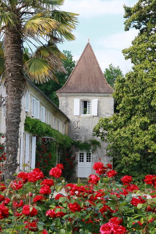 Bed and Breakfast Chateau De Puyrigaud Léoville Zewnętrze zdjęcie